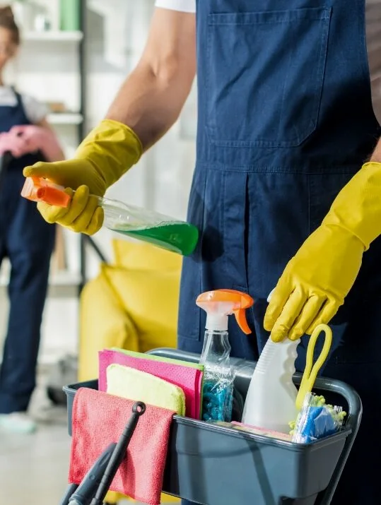 Leather Cleaning by Healthy Homes Carpets & Pest Control