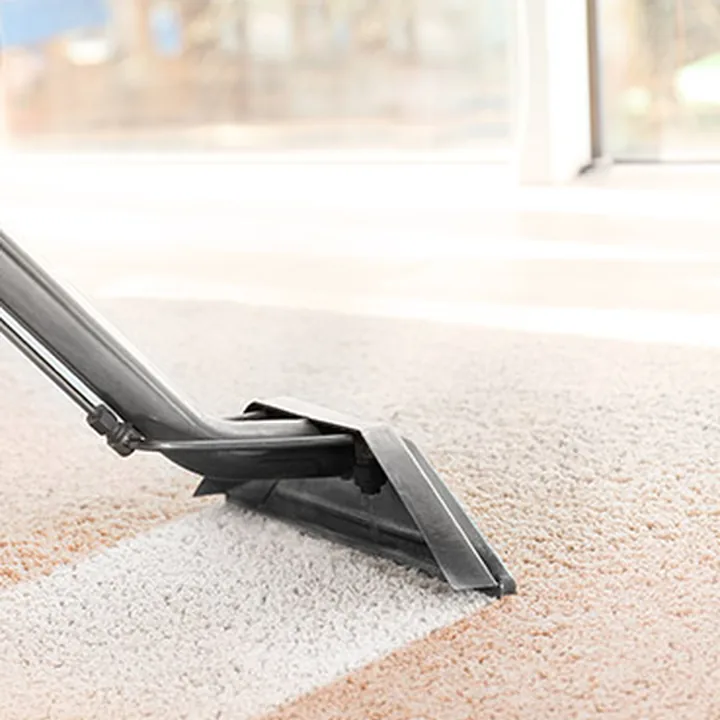 Carpet steam cleaning by Houseproud Carpet Cleaning and Pest Management