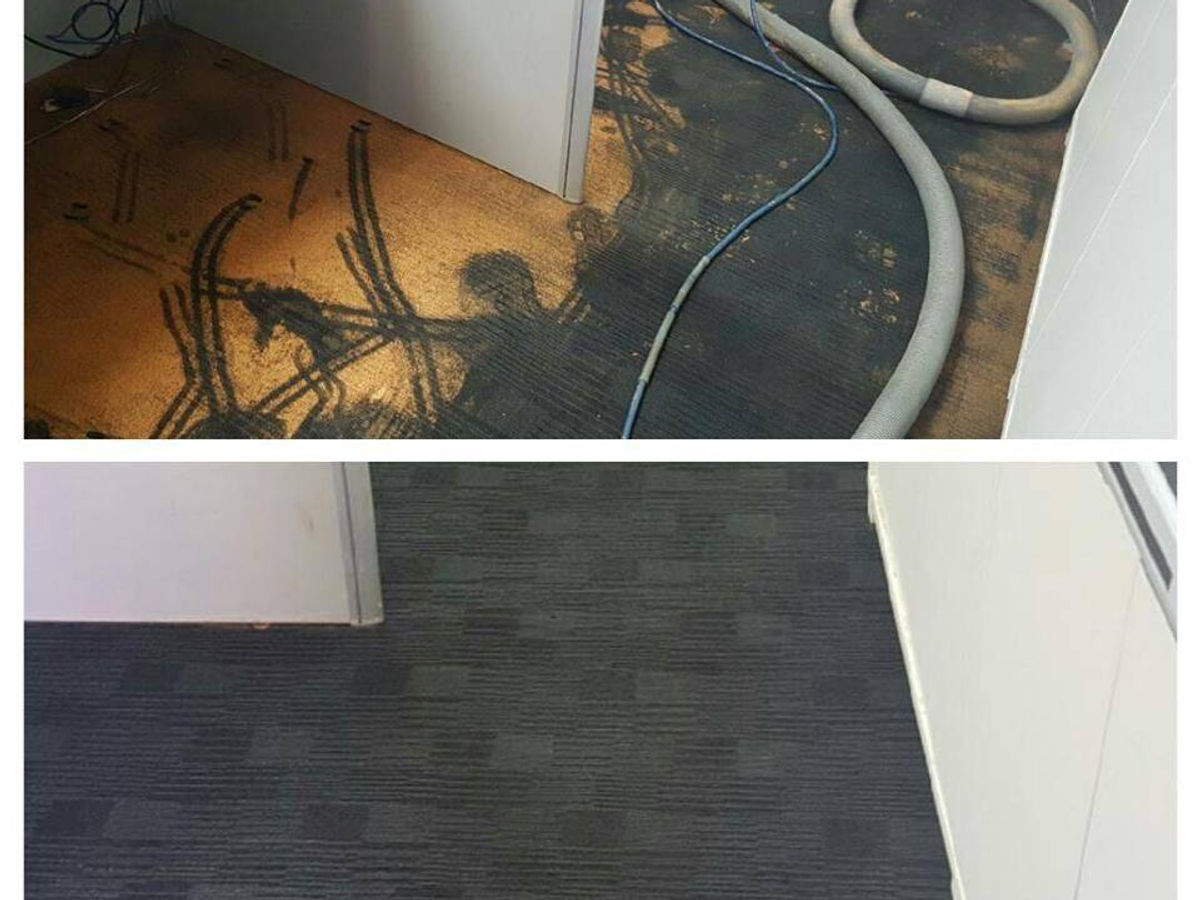 Water-damaged carpet — recovery job — Hydro X job photo
