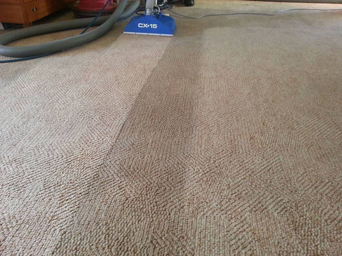 Living room carpet, mid-clean — real Hydro X job photo
