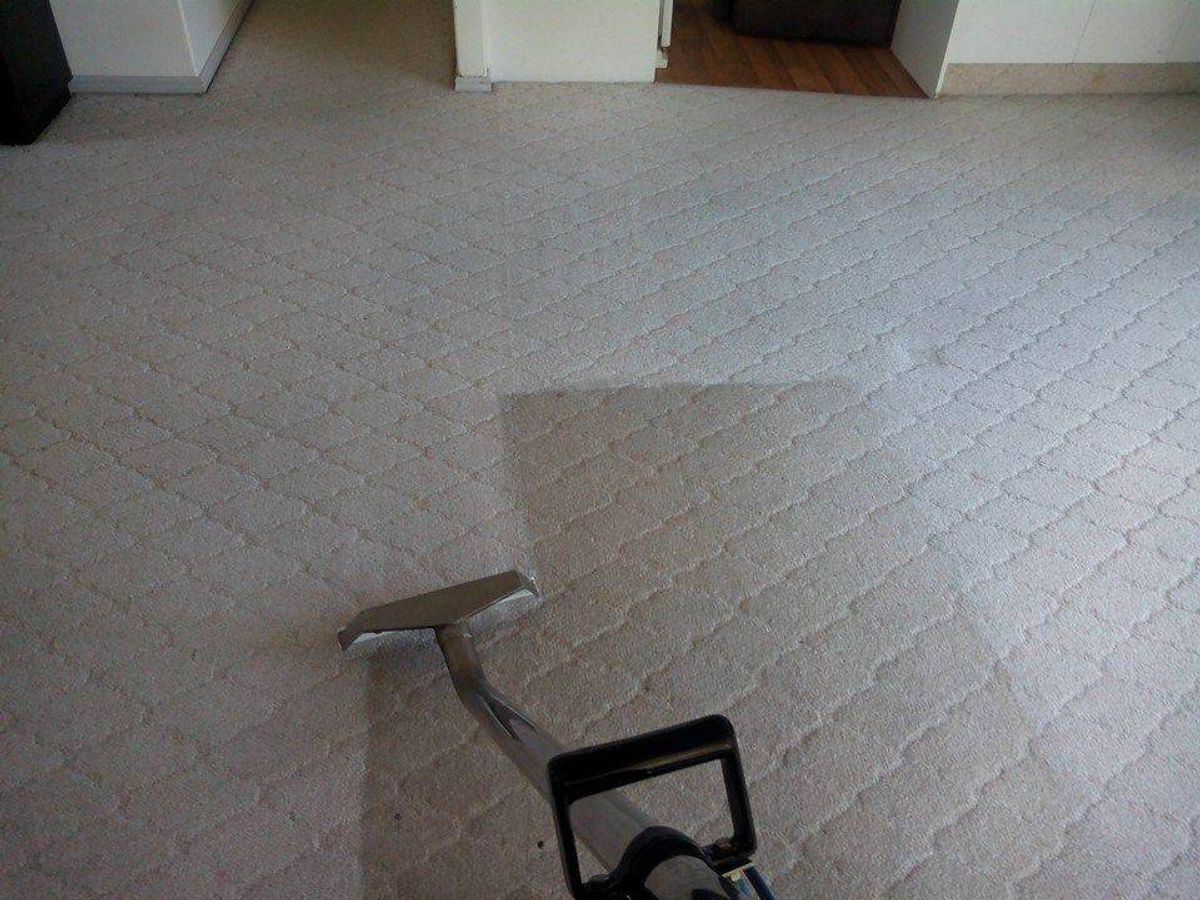 A single extraction pass leaving a visibly cleaner streak across a cream carpet