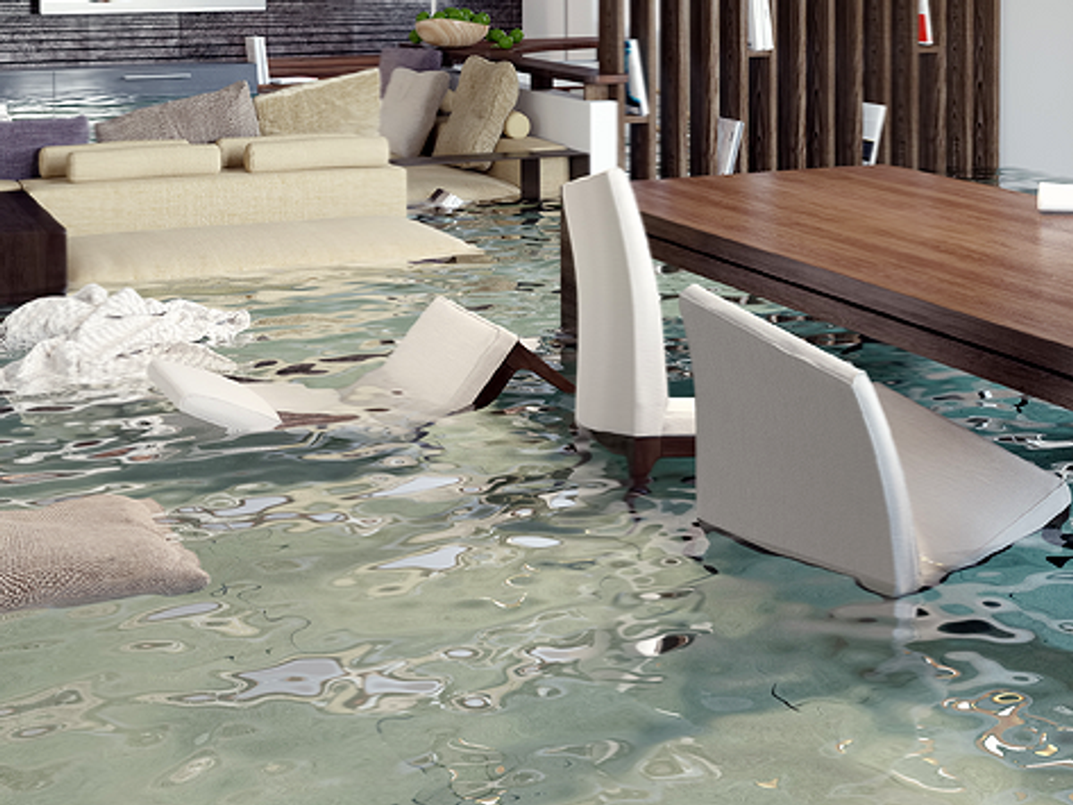 Water Damage Restoration by Hydro X