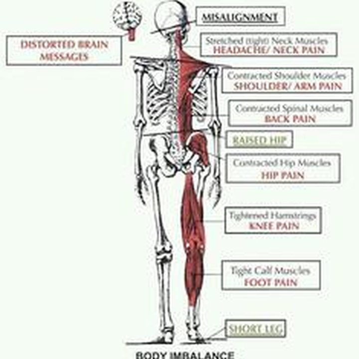 Health topics linked to movement and lifestyle.