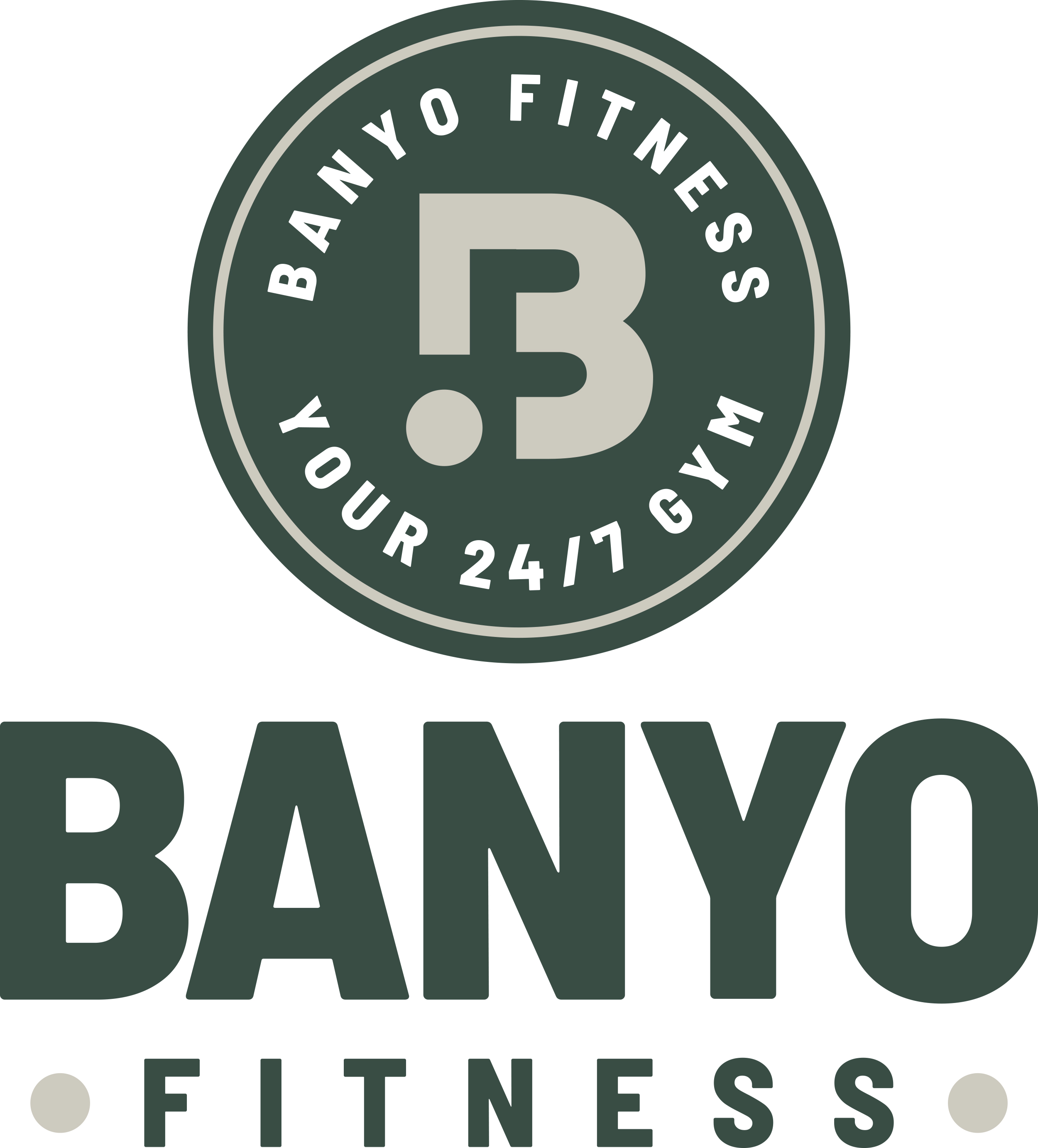 Banyo Fitness portrait logo