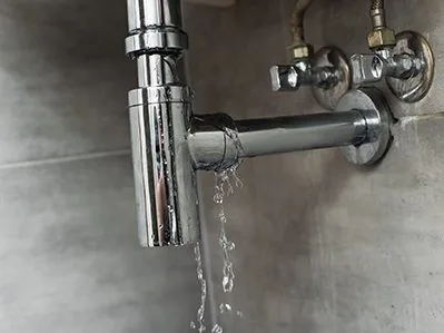 Leaking chrome pipe under a sink — plumbing maintenance