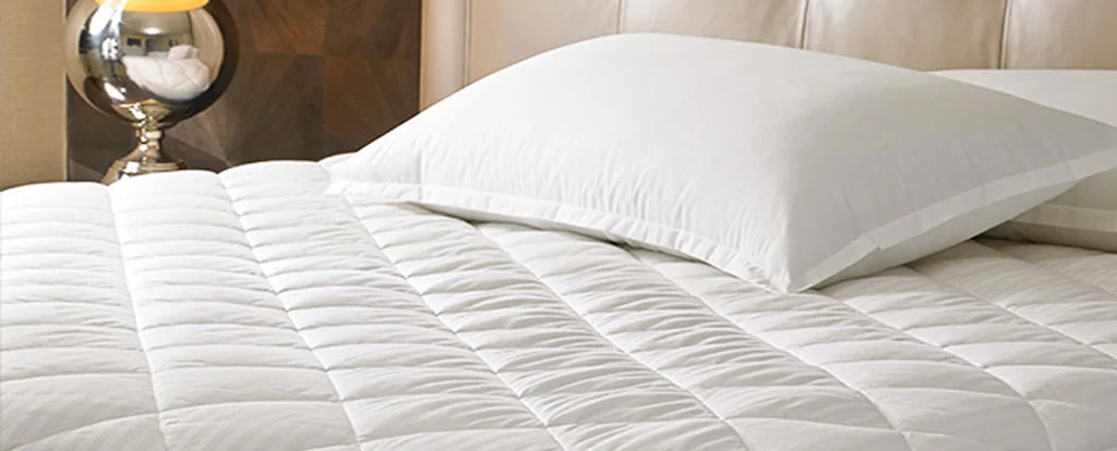 Mattress cleaning service image
