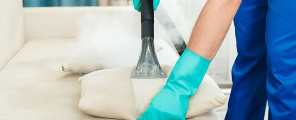 Sofa cleaning service image