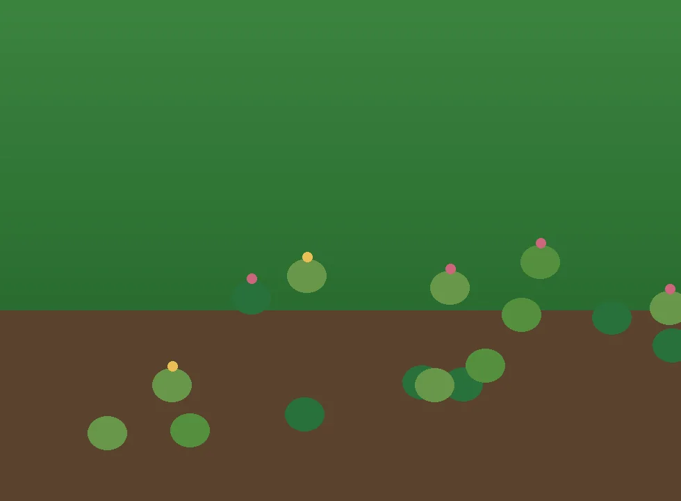 Garden Tidy Ups visual