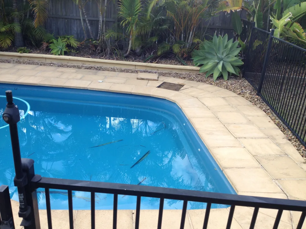 Pool surround & backyard — JS Greenbuilders