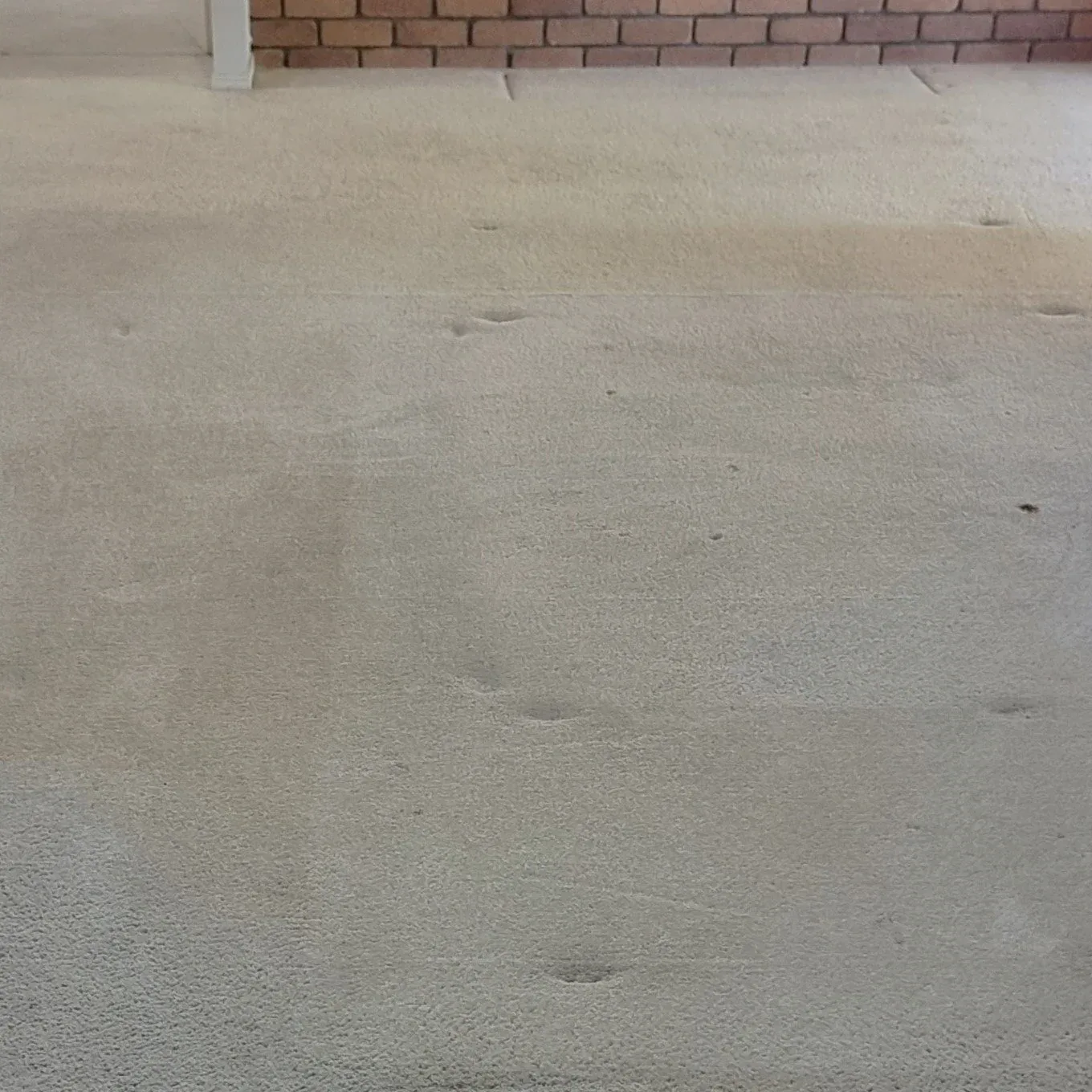 Carpet after cleaning