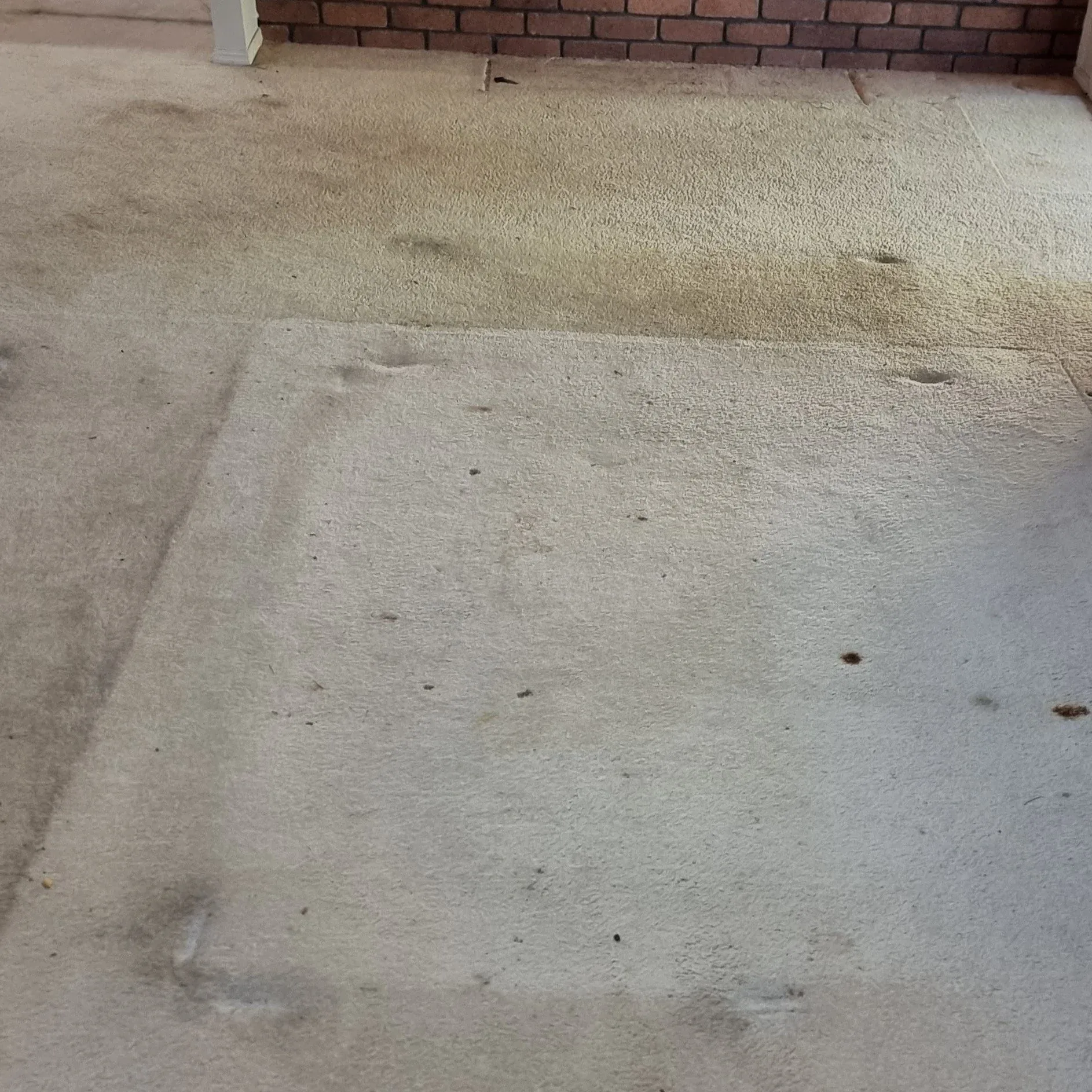 Carpet before cleaning