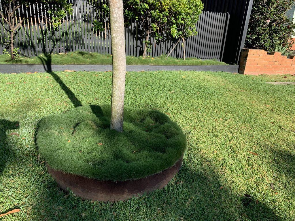 Twilight Outdoor Living — Landscapers Plus residential project