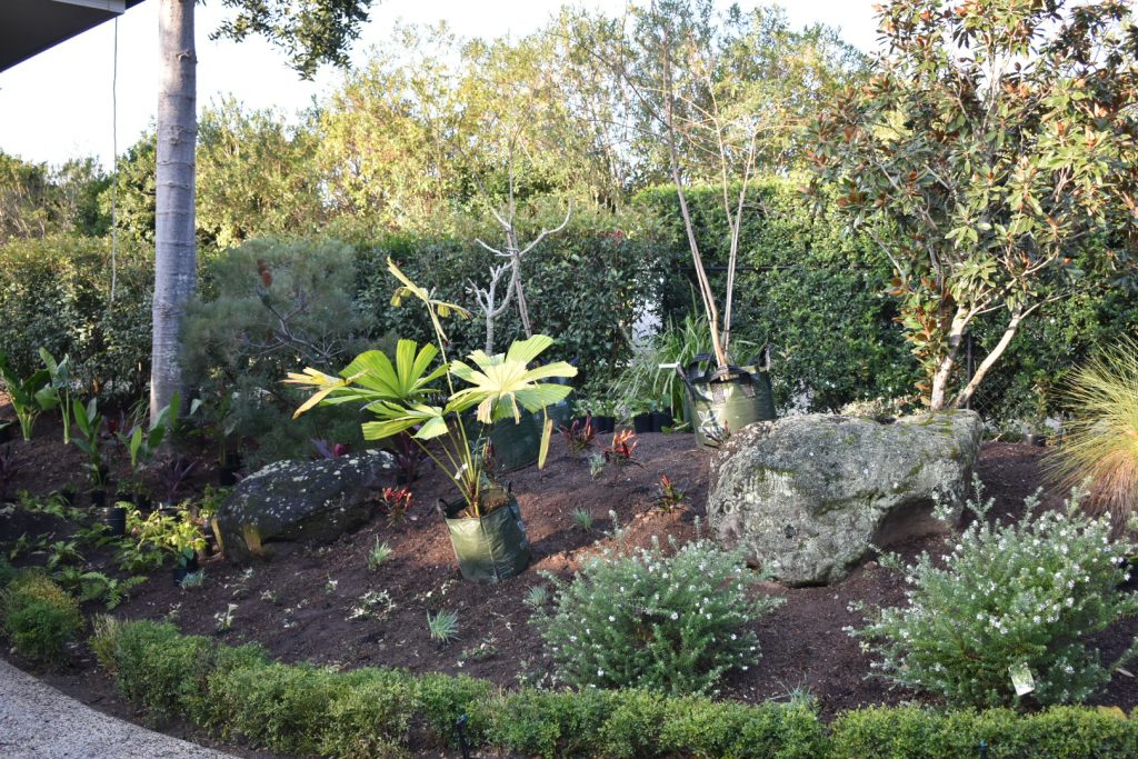 Sustainable Lawn Renovation — Landscapers Plus residential project