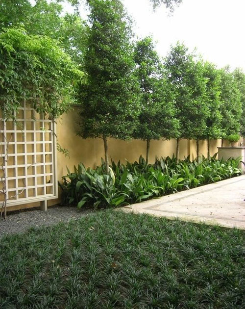 Landscapers Plus residential landscape project — Brisbane