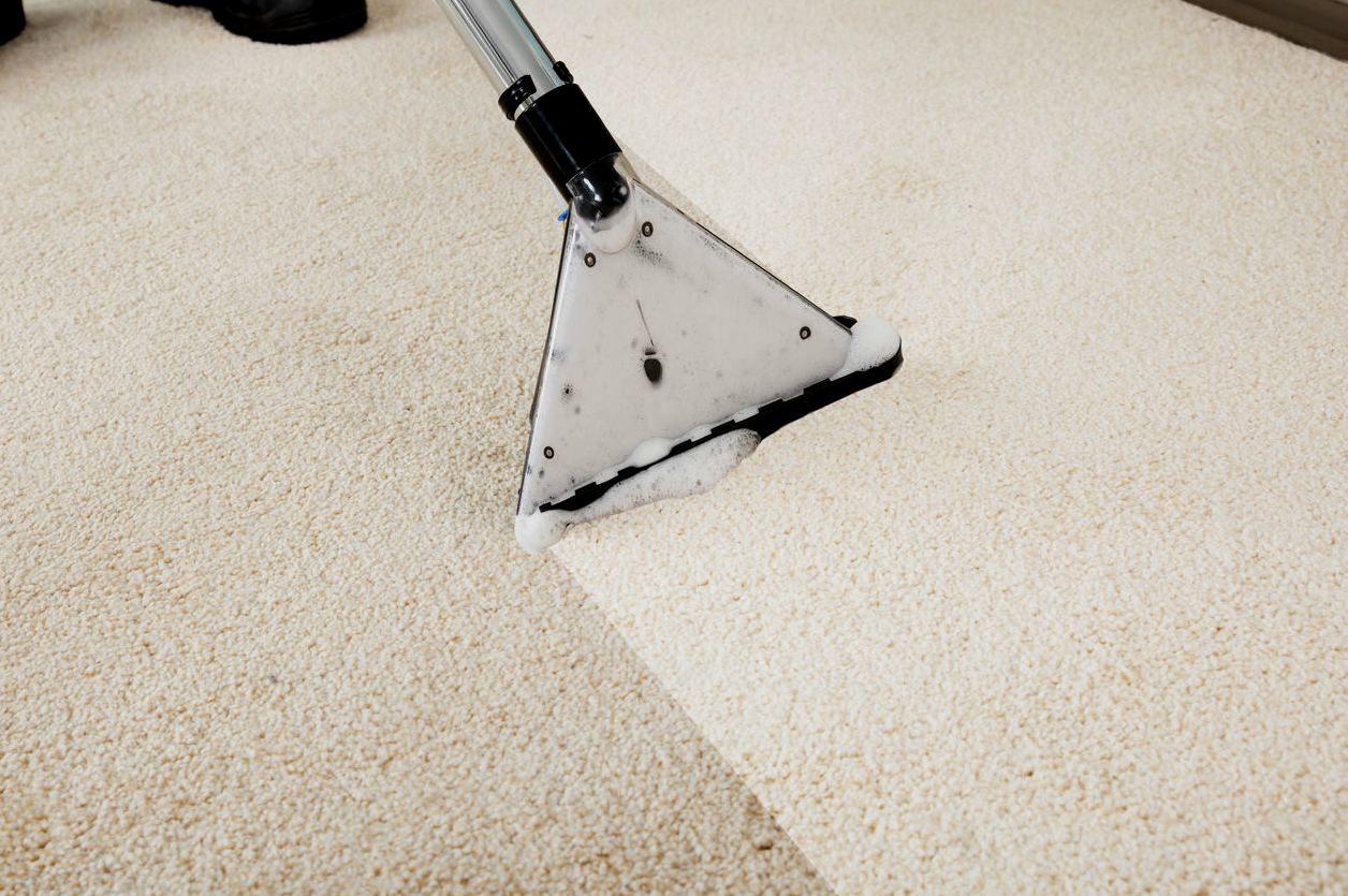 Carpet being cleaned, showing the before-and-after difference