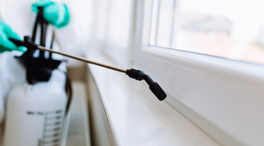 Brisbane home carpet clean