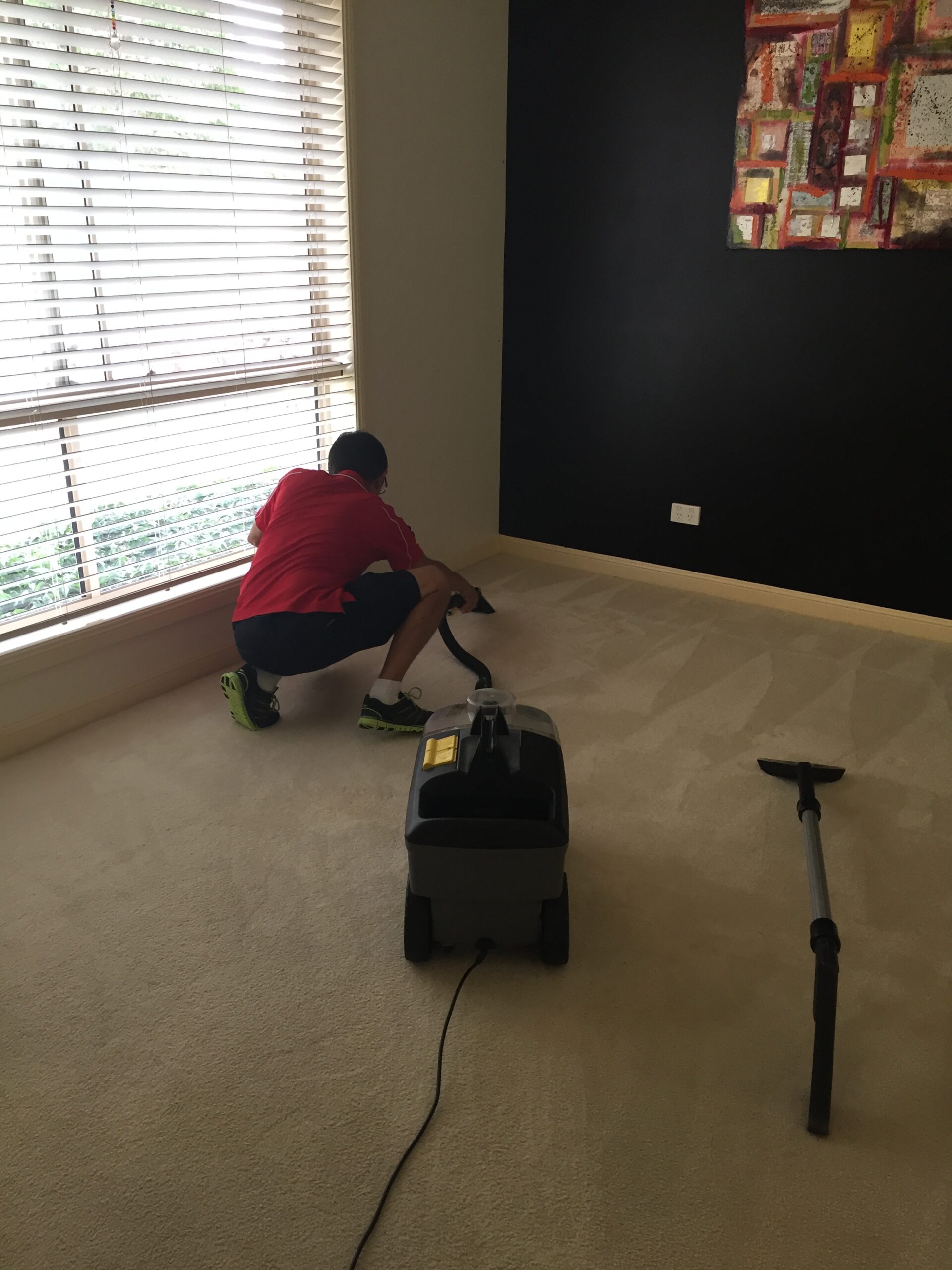 Freshly cleaned carpet in a Brisbane home