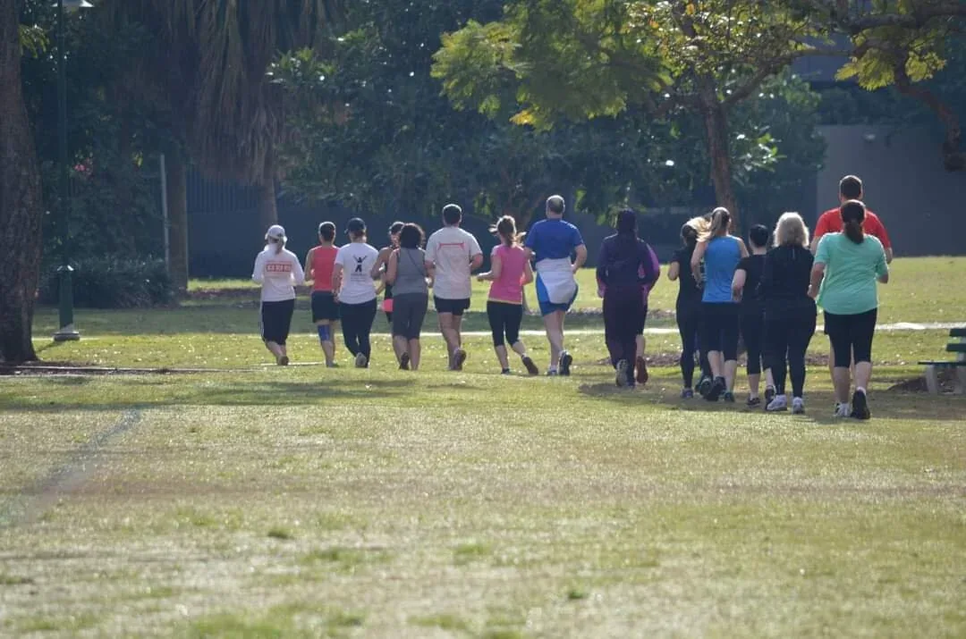 Beginners Online Program