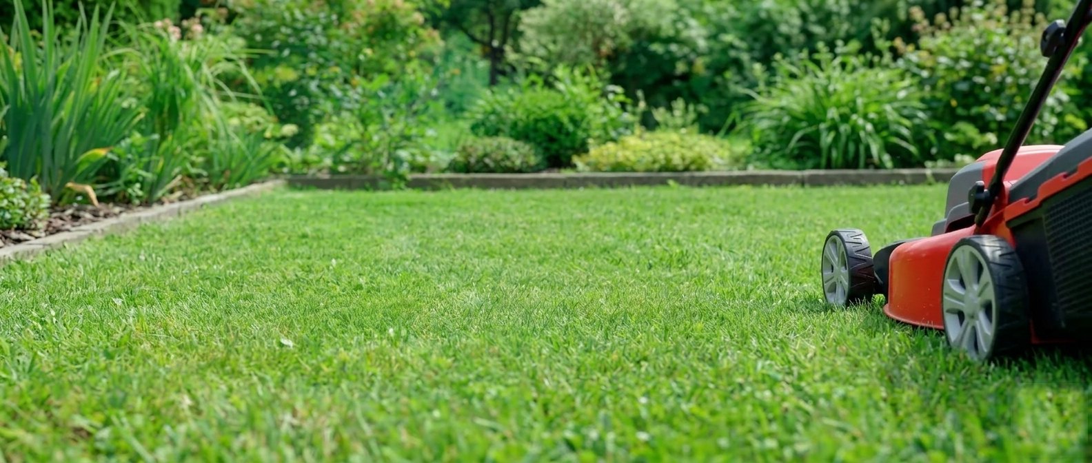 Freshly mown striped lawn with a mower beside a lush garden in Springvale, south-east Melbourne