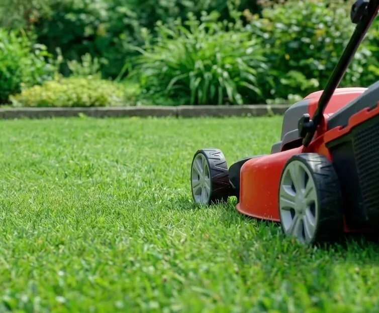 A neatly mown residential lawn in Springvale with crisp edges