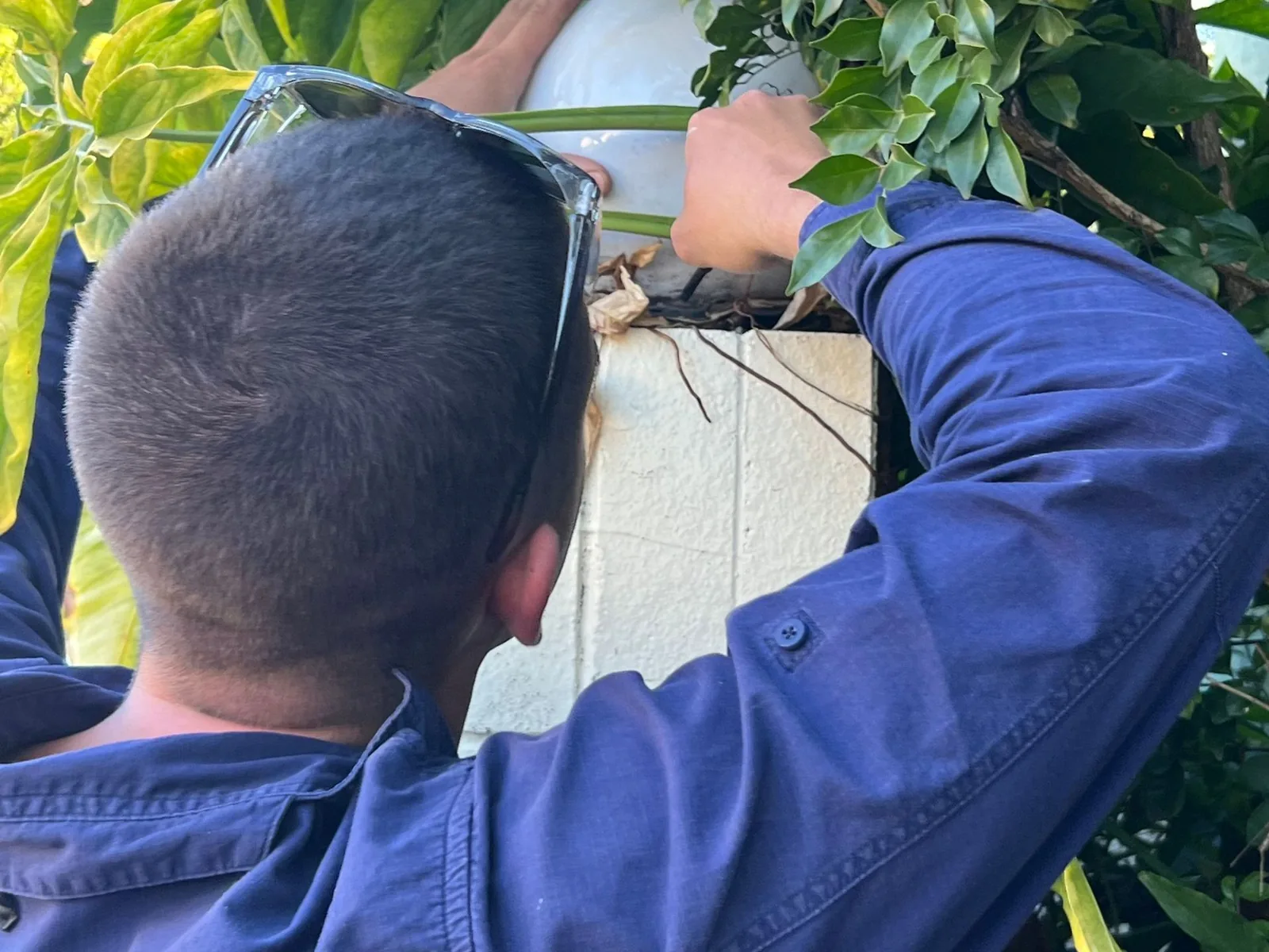 Local Electrical electrician at work