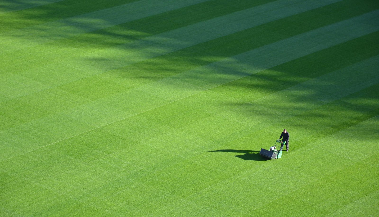 Striped, freshly mown lawn being maintained by Loukas' Garden Care in Brisbane