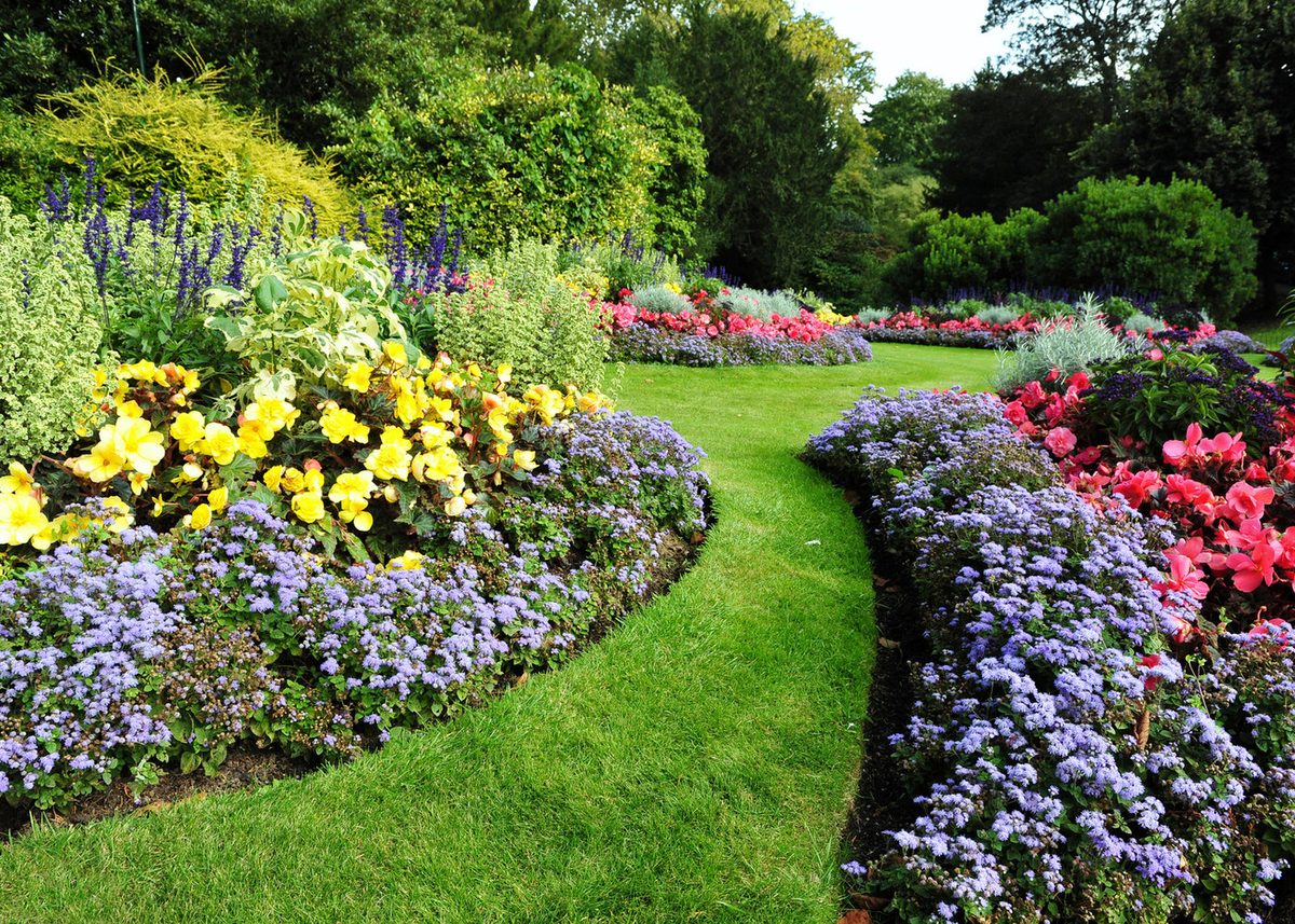 A colourful, well-kept Brisbane garden with layered flower beds maintained by Loukas' Garden Care