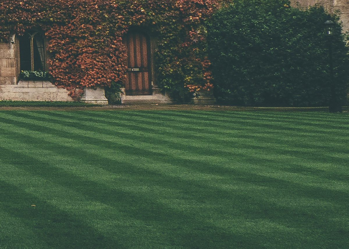 A beautifully striped lawn maintained by Loukas' Garden Care