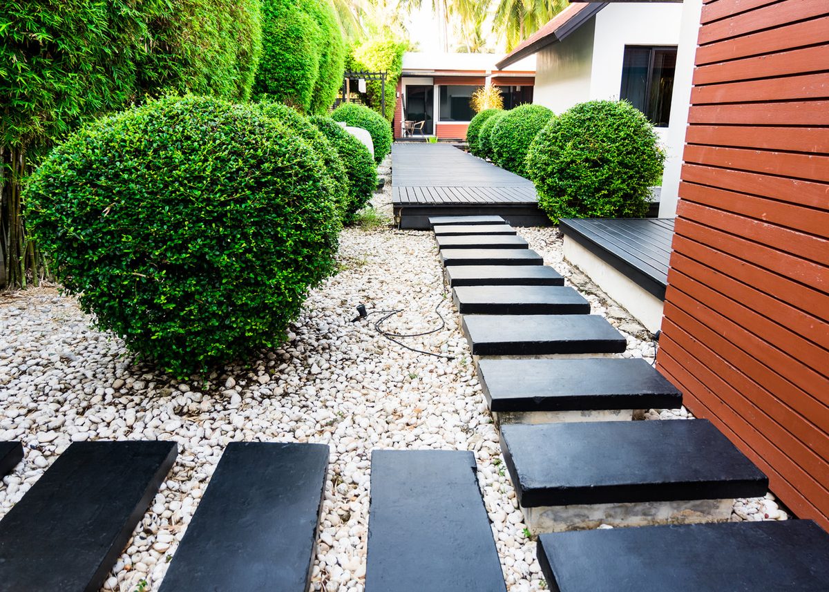 Neatly shaped hedges framing a landscaped Brisbane garden path
