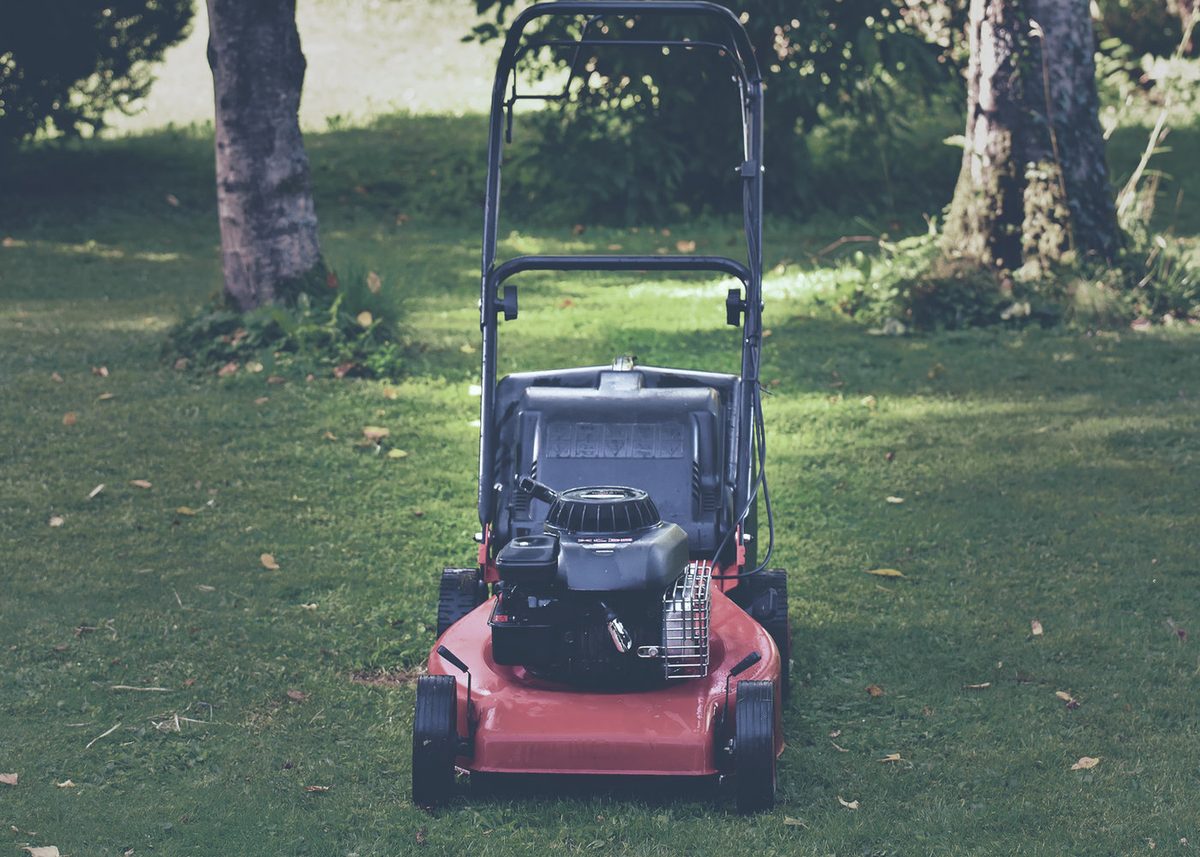 Lawn mower on a freshly cut Brisbane lawn