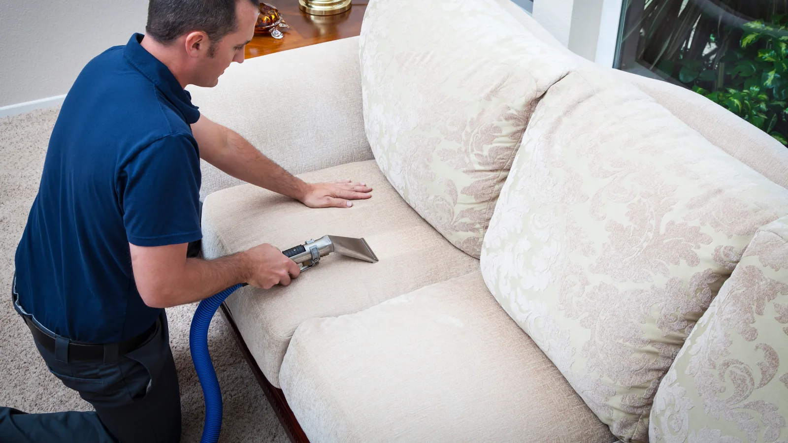 Upholstery & Lounge Cleaning