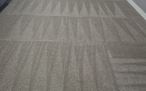 Carpet Cleaning service photo