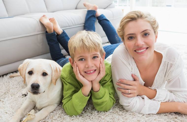 Family and pet safe carpet cleaning source image