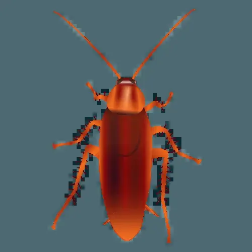 General Pest Control