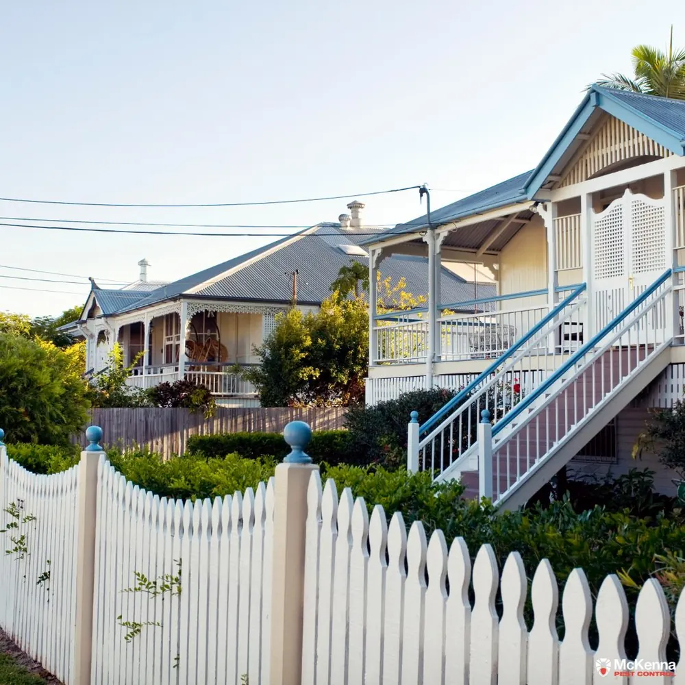 March Humidity: Why Now is the Critical Time for a Home Pest Check