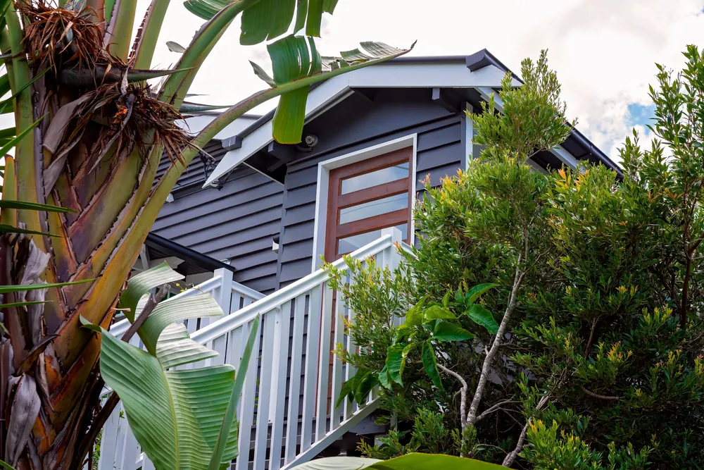 The Brisbane Homeowner’s Seasonal Pest Calendar: What to Expect