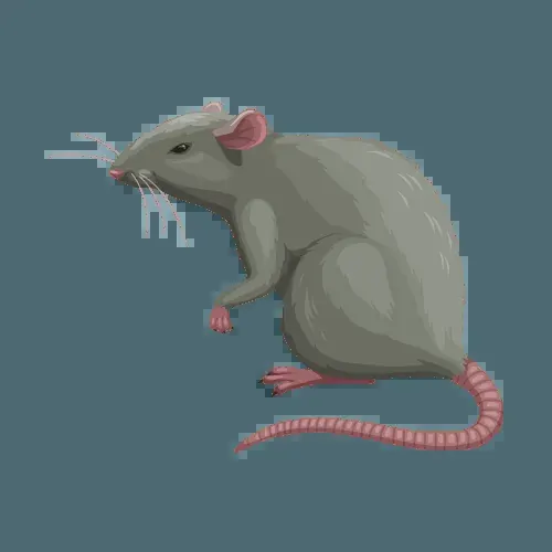 Rodent pest control