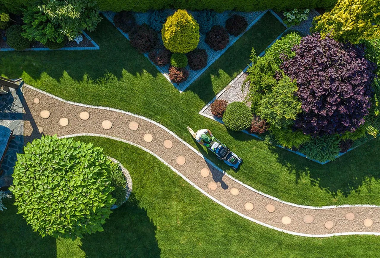 A neatly landscaped Brisbane garden with mown lawn and shaped beds
