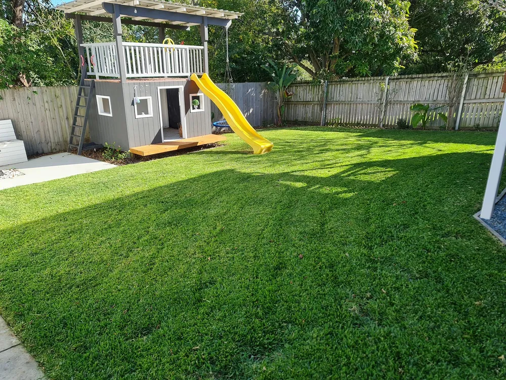 Freshly mown backyard lawn in Carina, Brisbane