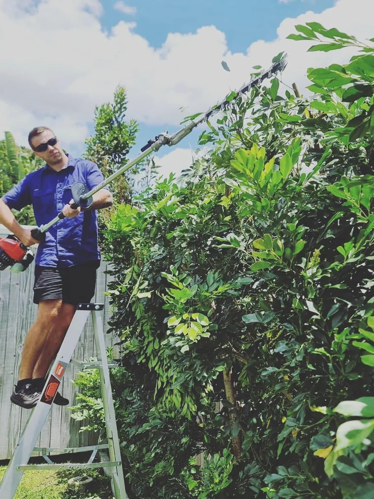 Mitch, founder of Mitch's Mowing and Landscaping, hedging a Brisbane garden