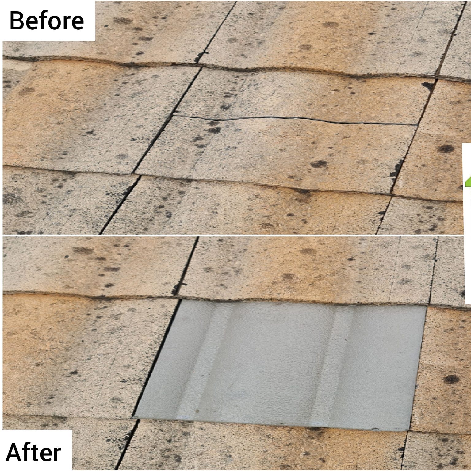 Landscaping and garden maintenance