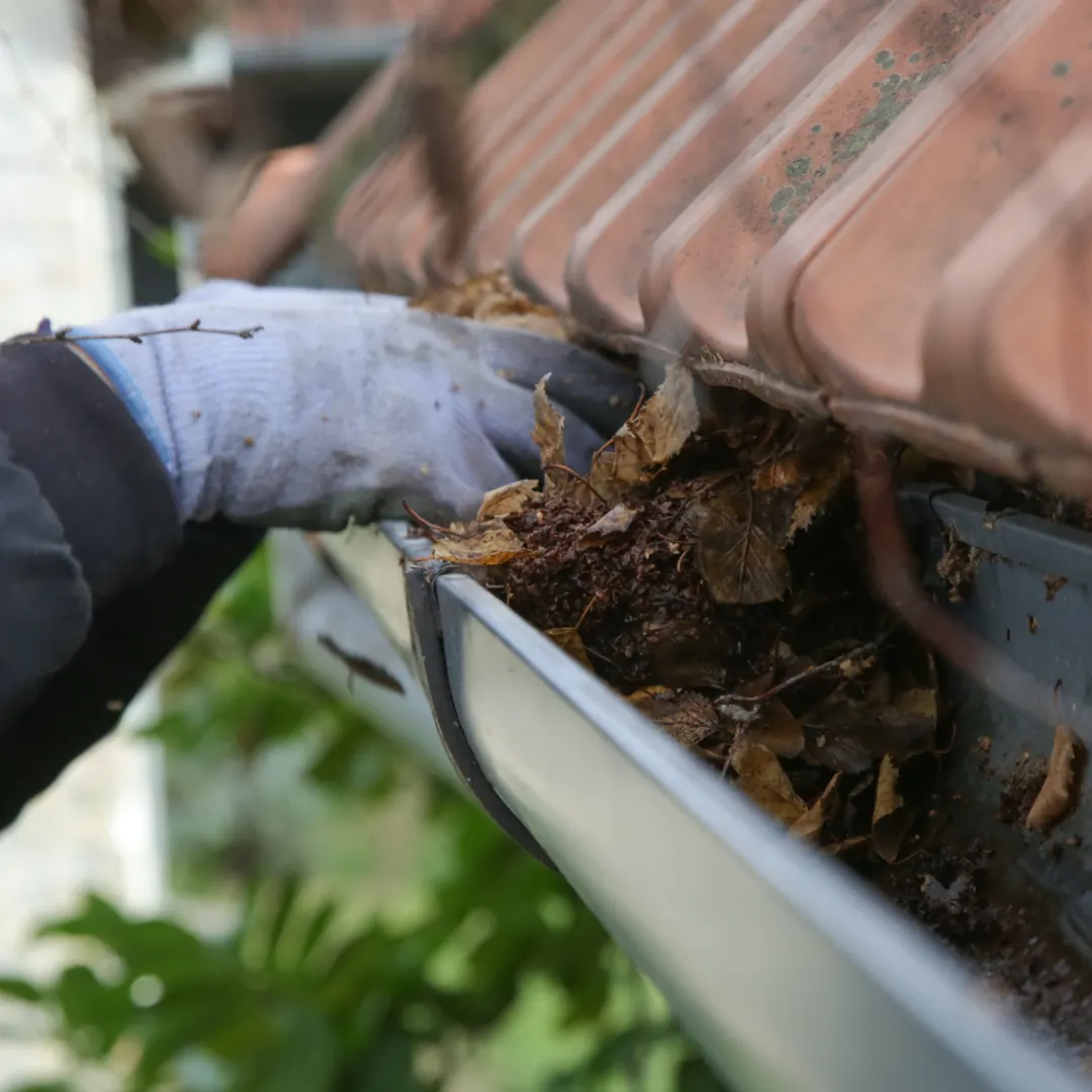 Maintenance service
