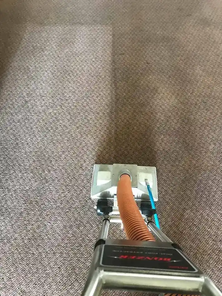 Carpet extraction source photo