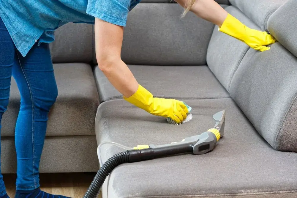 Upholstery Cleaning by Mr Steam Clean Tweed Coast