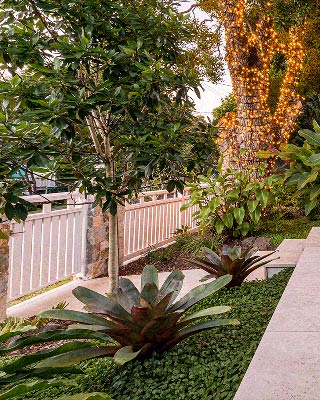 Entrance garden landscaping