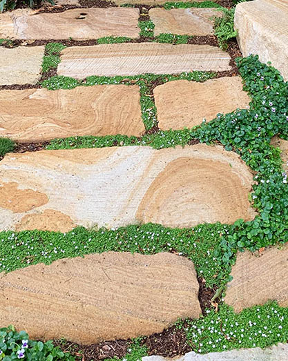 Sandstone paving