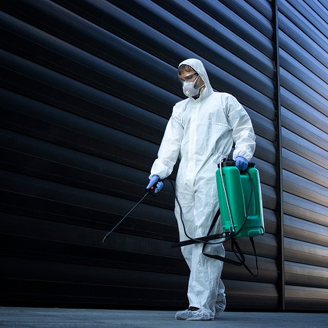 Pest control image from the source site