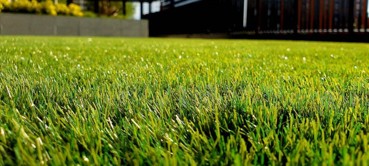 Healthy, freshly mown lawn maintained by Northside Lawn Maintenance