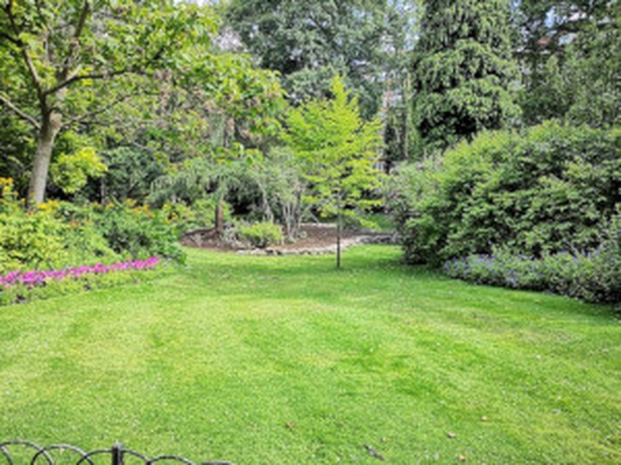 Lawn Weed & Feed by Northside Lawn Maintenance