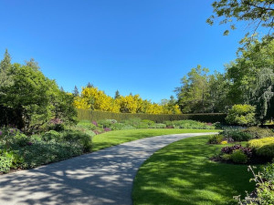 Weed Control by Northside Lawn Maintenance